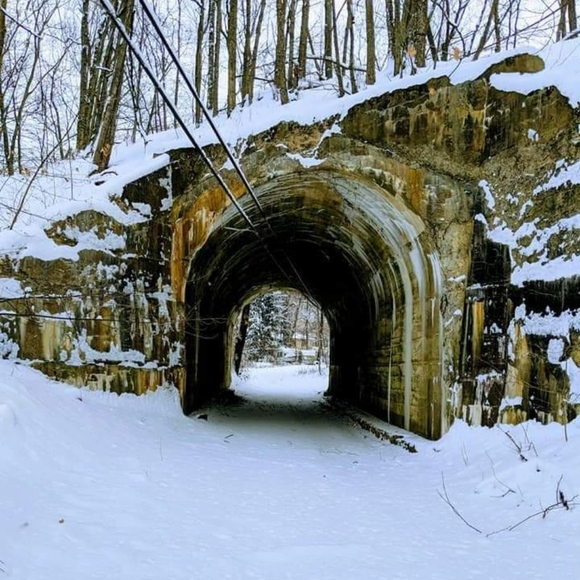 Meet your Posher, Debra - Picture 7 of 16